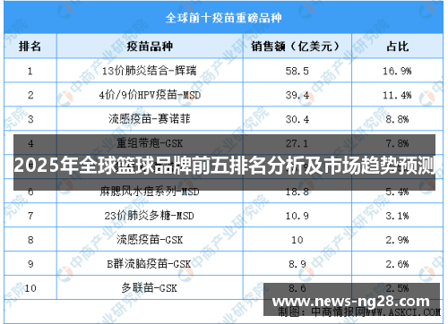 2025年全球篮球品牌前五排名分析及市场趋势预测