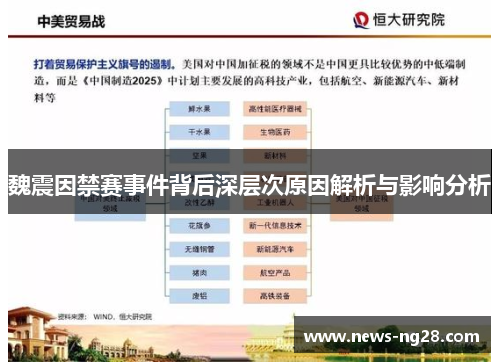 魏震因禁赛事件背后深层次原因解析与影响分析