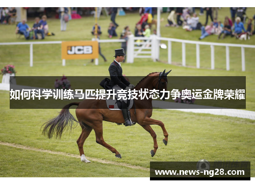 如何科学训练马匹提升竞技状态力争奥运金牌荣耀