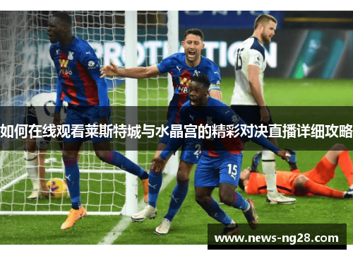 如何在线观看莱斯特城与水晶宫的精彩对决直播详细攻略