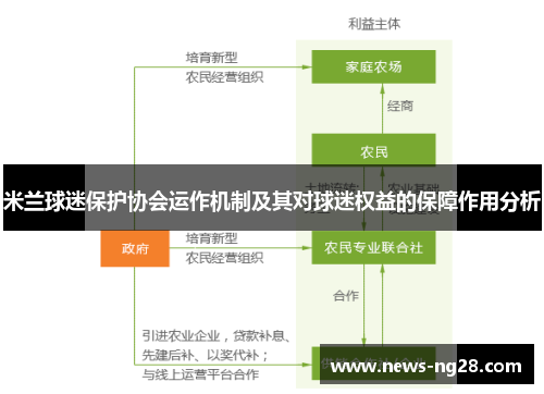 米兰球迷保护协会运作机制及其对球迷权益的保障作用分析