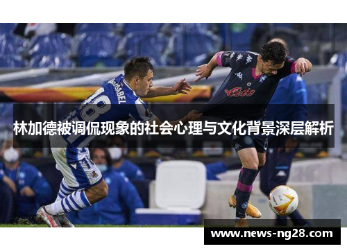 林加德被调侃现象的社会心理与文化背景深层解析